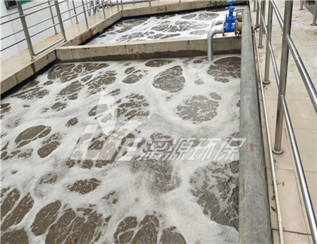鄰硝基對甲砜基苯甲酸廢水處理工藝