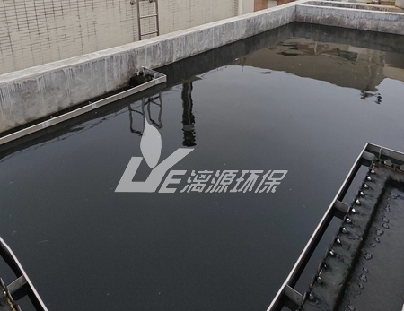 環(huán)氧大豆油（ESO）廢水處理工程